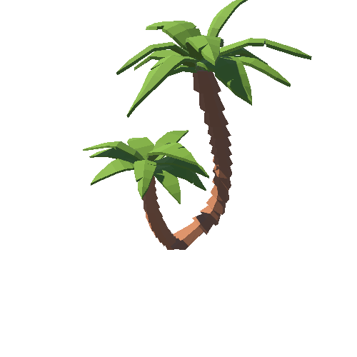 PP_Palm_08