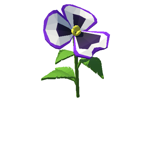 PP_Pansy_Flower_Purple_01