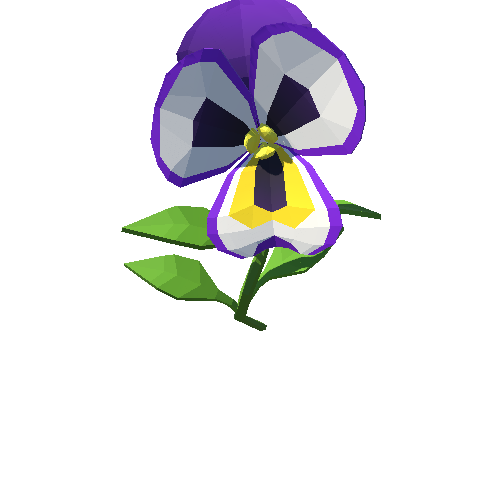 PP_Pansy_Flower_Purple_04