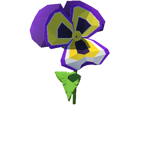 PP_Pansy_Flower_Purple_07