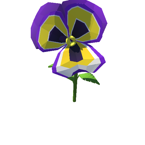 PP_Pansy_Flower_Purple_08