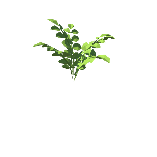 PP_Plant_01