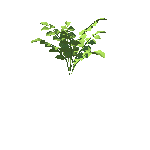 PP_Plant_02