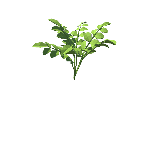 PP_Plant_03