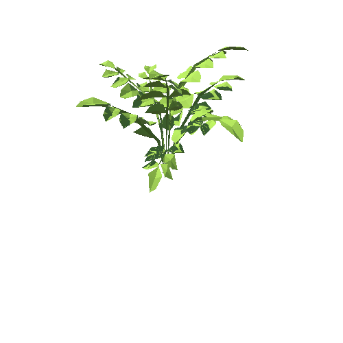 PP_Plant_05