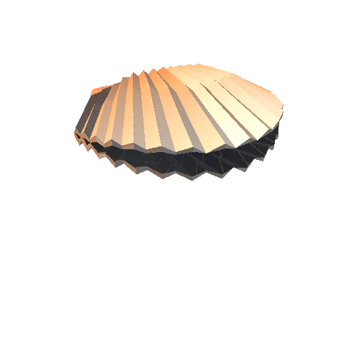 PP_Seashell_01