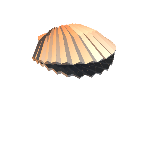 PP_Seashell_02