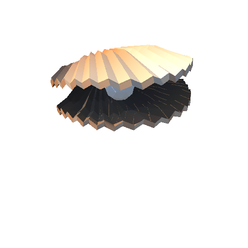 PP_Seashell_03