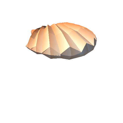 PP_Seashell_04