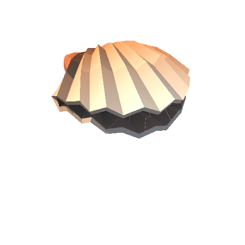 PP_Seashell_05