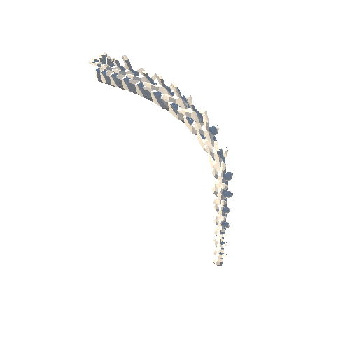 PP_Skeleton_09