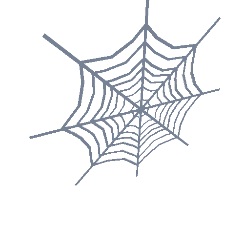 PP_Spiderweb_01