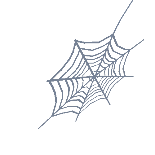 PP_Spiderweb_02