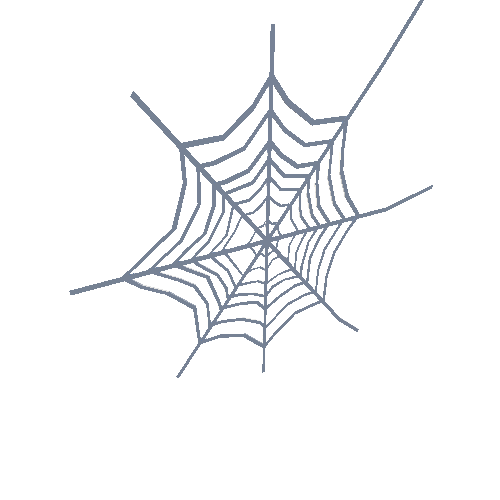 PP_Spiderweb_03