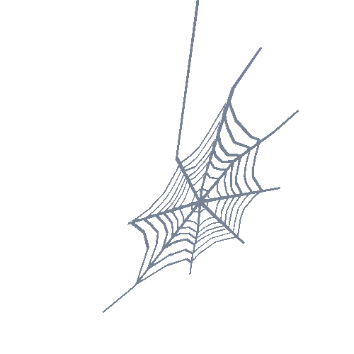 PP_Spiderweb_05