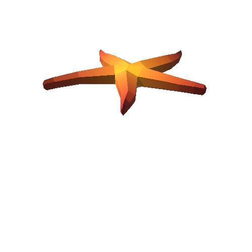 PP_Starfish_03