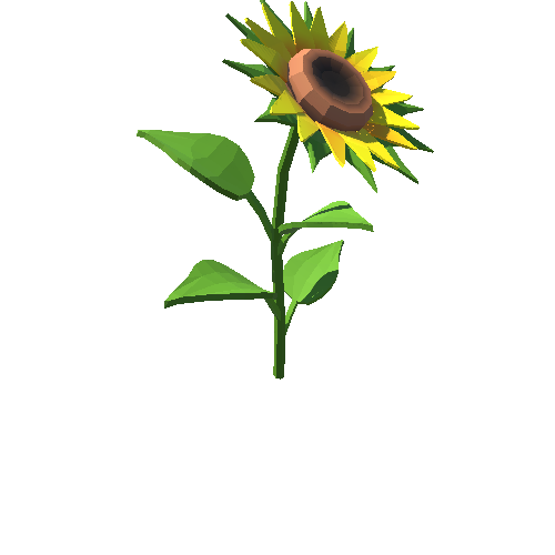 PP_Sunflower_02