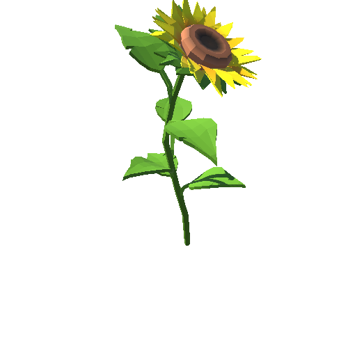 PP_Sunflower_03