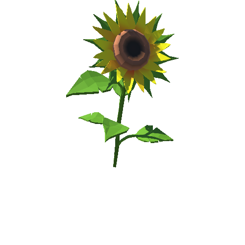 PP_Sunflower_04