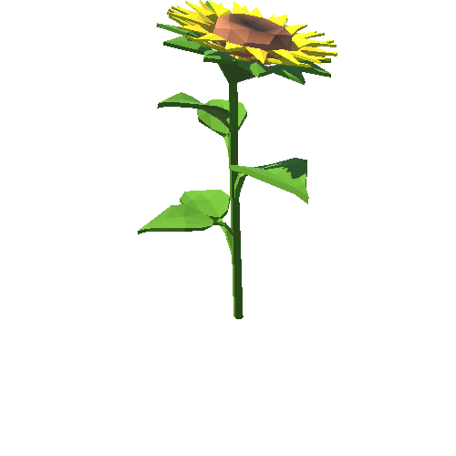 PP_Sunflower_08