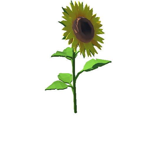 PP_Sunflower_09