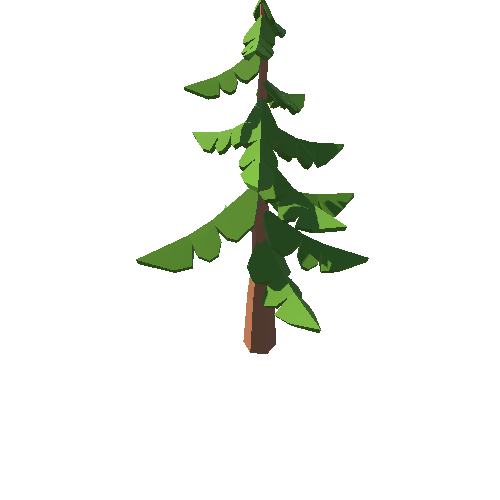 PP_Tree_02