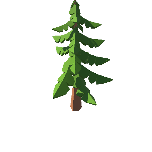 PP_Tree_05