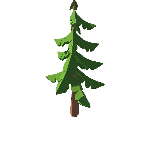 PP_Tree_06