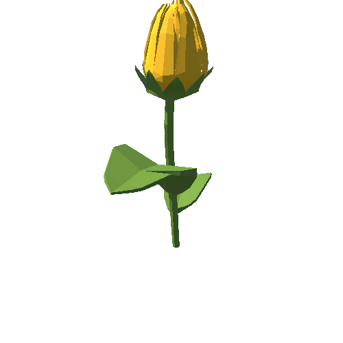 PP_Tulip_Orange_02