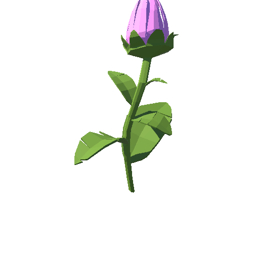 PP_Tulip_Pink_02