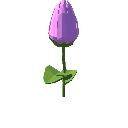 PP_Tulip_Pink_03