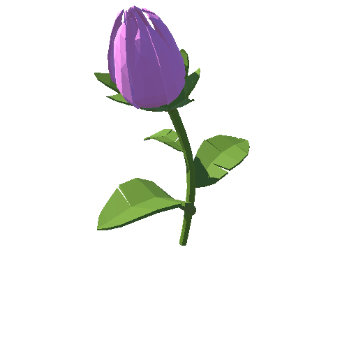 PP_Tulip_Pink_05