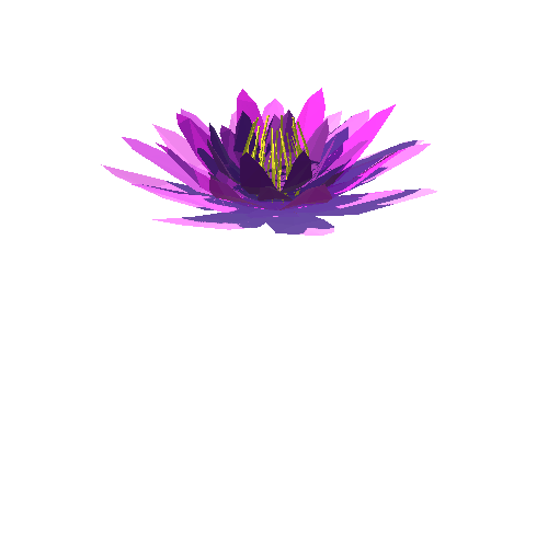 PP_Water_Lily_01