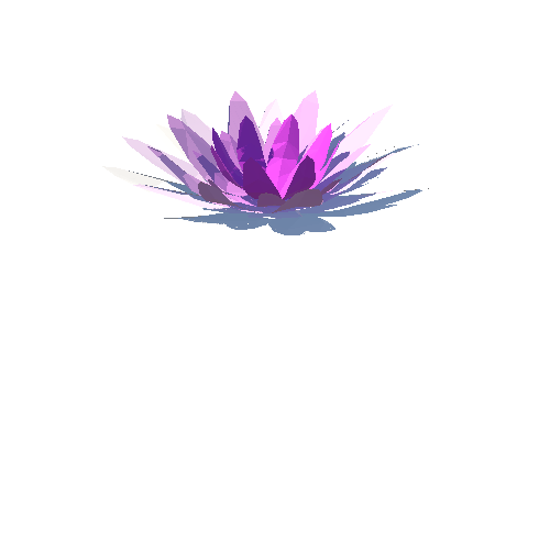 PP_Water_Lily_03