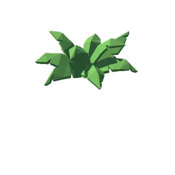 ShrubFern05