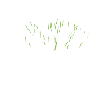 PatchGrass03