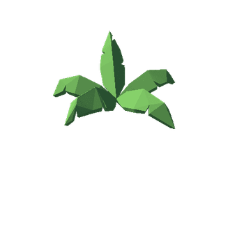 ShrubFern03