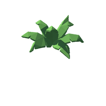 ShrubFern04