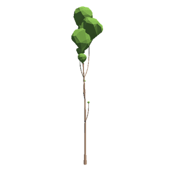 TreeBirchTall01