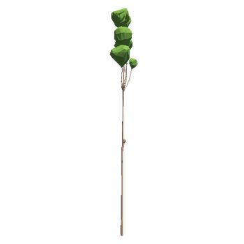 TreeBirchTall03