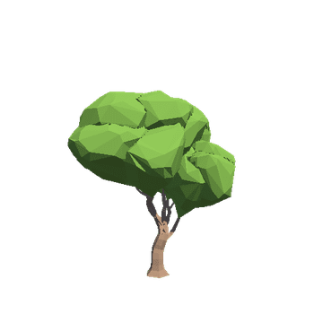 TreeMaple07