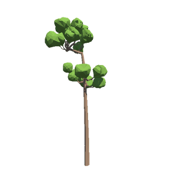 TreePine05