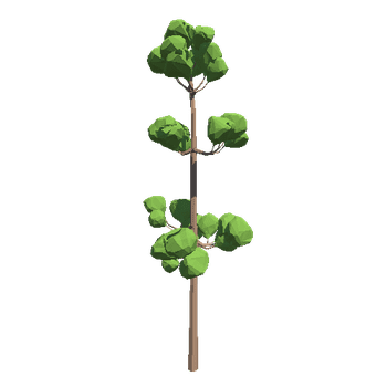 TreePine09