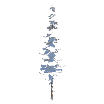 TreeSpruceTall08_Snow
