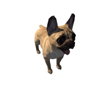 French_Bulldog_LowPoly