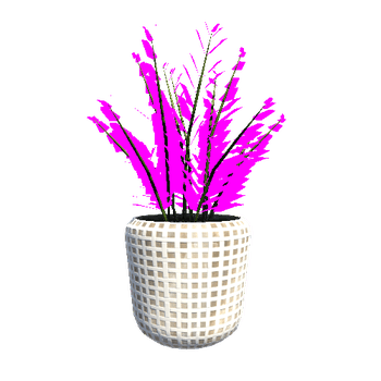 plant_02