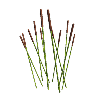 Bullrush