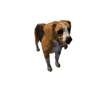 Beagle_LowPoly