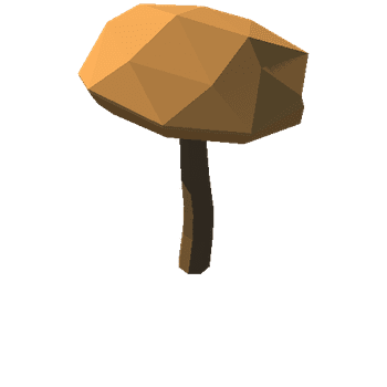 mushroom12