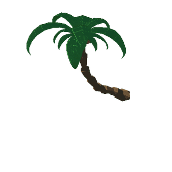 palmtree03